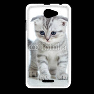 Coque HTC Desire 516 Chaton gris en balade