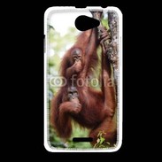 Coque HTC Desire 516 Famille de singe 50