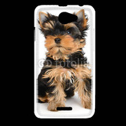 Coque HTC Desire 516 Yorkshire terrier 15