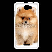Coque HTC Desire 516 Chiot Spitz 15