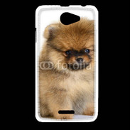 Coque HTC Desire 516 Chiot Pomeranian 15