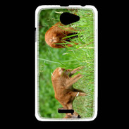 Coque HTC Desire 516 Chevreuil PB 1