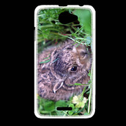 Coque HTC Desire 516 Lapin sauvage PB 1