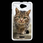 Coque HTC Desire 516 Portrait de chat PR
