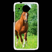 Coque HTC Desire 601 Cheval arabe robe marron et blanche