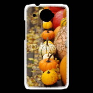 Coque HTC Desire 601 Citrouilles