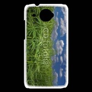 Coque HTC Desire 601 Champs de cannabis