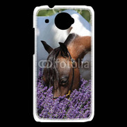 Coque HTC Desire 601 Cheval sentant la lavande 