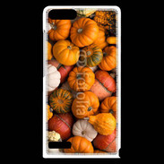 Coque Huawei Ascend G6 fond de citrouilles automne