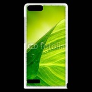 Coque Huawei Ascend G6 Feuille écologie
