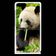Coque Huawei Ascend G6 Panda 2