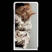 Coque Huawei Ascend G6 Sieste de chatons