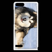 Coque Huawei Ascend G6 Chien d'Alaska