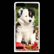 Coque Huawei Ascend G6 Adorable chiot Border collie