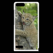 Coque Huawei Ascend G6 Bébé Lynx