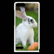 Coque Huawei Ascend G6 Lapin et carotte