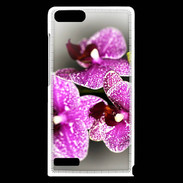 Coque Huawei Ascend G6 Belle Orchidée PR