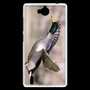 Coque Huawei Ascend G740 Canard Colvert 2