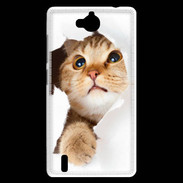 Coque Huawei Ascend G740 Chaton caché