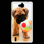 Coque Huawei Ascend G740 Bull mastiff chiot