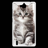 Coque Huawei Ascend G740 Chaton gris 