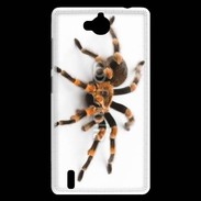 Coque Huawei Ascend G740 Araignée tarentule