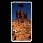 Coque Huawei Ascend G740 Monument Valley USA