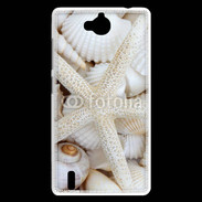 Coque Huawei Ascend G740 Coquillage et étoile de mer