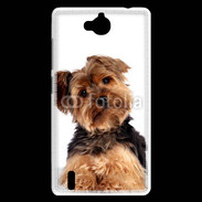Coque Huawei Ascend G740 Yorkie 