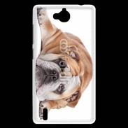 Coque Huawei Ascend G740 Bulldog anglais 2