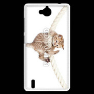 Coque Huawei Ascend G740 Chaton sur une corde