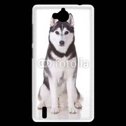 Coque Huawei Ascend G740 Husky 2