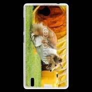 Coque Huawei Ascend G740 Agility Colley