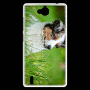 Coque Huawei Ascend G740 Berger australien