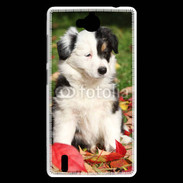 Coque Huawei Ascend G740 Adorable chiot Border collie