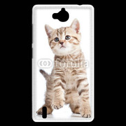 Coque Huawei Ascend G740 Adorable chaton 7