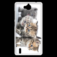 Coque Huawei Ascend G740 Groupe de chatons 7