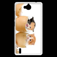 Coque Huawei Ascend G740 Chaton dans des coquilles d'oeuf