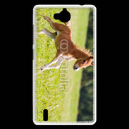Coque Huawei Ascend G740 Poulain 2