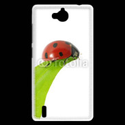 Coque Huawei Ascend G740 Belle coccinelle 10