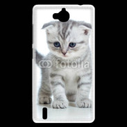 Coque Huawei Ascend G740 Chaton gris en balade
