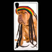 Coque Huawei Ascend P7 Chien Rasta