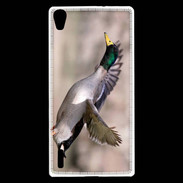 Coque Huawei Ascend P7 Canard Colvert 2