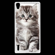 Coque Huawei Ascend P7 Chaton gris 
