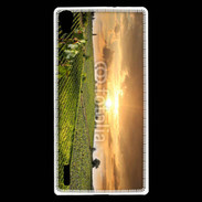 Coque Huawei Ascend P7 Couché de soleil sur champs de vignes