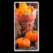 Coque Huawei Ascend P7 Citrouilles 3