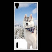 Coque Huawei Ascend P7 Husky hiver 2