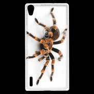 Coque Huawei Ascend P7 Araignée tarentule