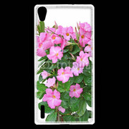 Coque Huawei Ascend P7 Fleurs Dipladénia