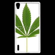 Coque Huawei Ascend P7 Feuille de cannabis